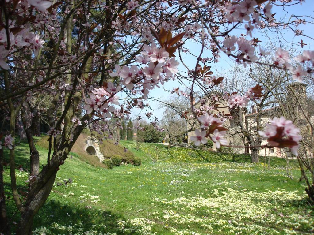 Апартаменти Les Communs Du Manoir Екюллі Екстер'єр фото