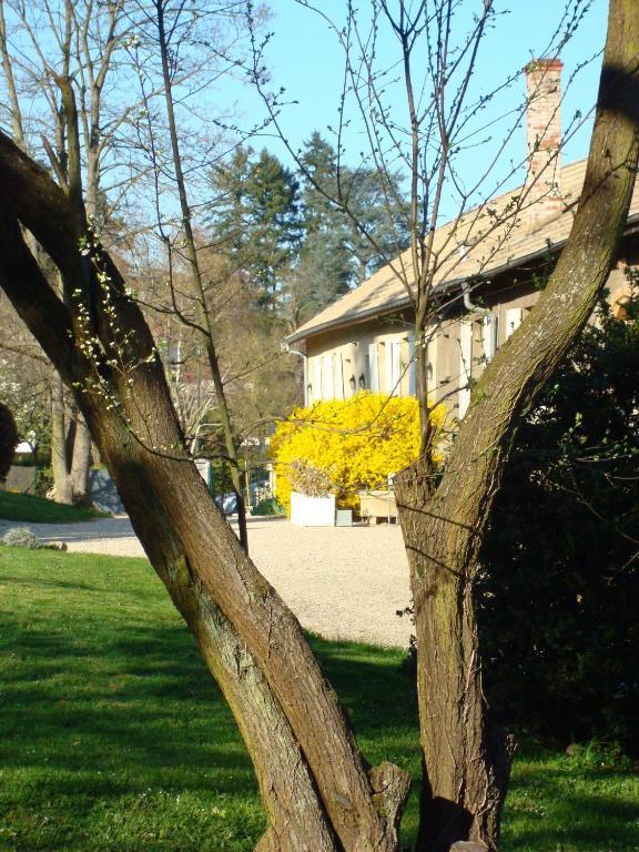 Апартаменти Les Communs Du Manoir Екюллі Екстер'єр фото